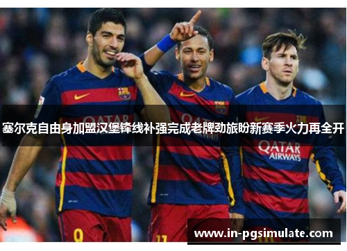 塞尔克自由身加盟汉堡锋线补强完成老牌劲旅盼新赛季火力再全开